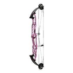 Hoyt Stratos 40 HBT Compound Bows 2024 -Bow Master Supplies 40hbtstardust 1