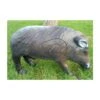 Wildlife 3D Target - Wild Boar -Bow Master Supplies 826388 1