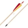 Buck Trail Standard Spruce Arrows -Bow Master Supplies 842090 2