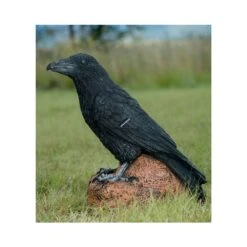 Wildcrete 3D Target - Raven