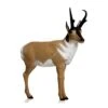 Delta Mckenzie 3D Backyard - Antelope -Bow Master Supplies DEL022