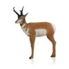 Delta Mckenzie 3D Pro Series - Pronghorn Antelope -Bow Master Supplies DEL047