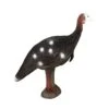 Eleven 3D Target - Turkey 2 Eleven 3D Target - Turkey -Bow Master Supplies ELV013