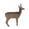 Eleven 3D Target - Deer With Horns -Bow Master Supplies ELV022