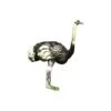 Natur Foam 3D Target - Ostrich 2 Natur Foam 3D Target - Ostrich -Bow Master Supplies NAT029