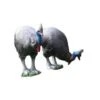 Natur Foam 3D Target - Cassowary -Bow Master Supplies NAT033