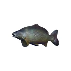 Natur Foam 3D Target - Carp