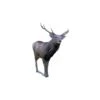 Natur Foam 3D Target - Sika Deer 2 Natur Foam 3D Target - Sika Deer -Bow Master Supplies NAT070