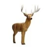 Rinehart 3D Target - Booner Buck -Bow Master Supplies RIN035