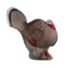 Rinehart 3D Target - Strutting Turkey -Bow Master Supplies RIN042
