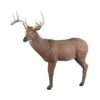 Rinehart 3D Target - Big Ten Buck -Bow Master Supplies RIN061