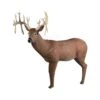 Rinehart 3D Target - 30 Point Buck -Bow Master Supplies RIN062