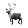Rinehart 3D Target - Caribou -Bow Master Supplies RIN071