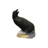 Rinehart 3D Target - Raven 1 Rinehart 3D Target - Raven -Bow Master Supplies RIN075
