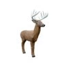Rinehart 3D Target - Midwest Buck -Bow Master Supplies RIN091