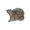 SRT 3D Target - Wildcat Walking -Bow Master Supplies SRT035
