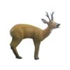 SRT 3D Target - Roebuck 1 SRT 3D Target - Roebuck -Bow Master Supplies SRT040