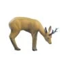 SRT 3D Target - Roebuck Grazing -Bow Master Supplies SRT043