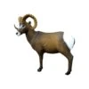 SRT 3D Target - Rocky Mountain Sheep -Bow Master Supplies SRT064