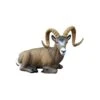 SRT 3D Target - Rocky Mountain Sheep Bedded -Bow Master Supplies SRT065