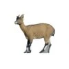 SRT 3D Target - Iberian Ibex Female -Bow Master Supplies SRT092