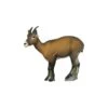 SRT 3D Target - Ibex Female -Bow Master Supplies SRT095