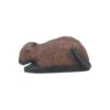 Wildlife 3D Target - Coypu Lying -Bow Master Supplies WIL020