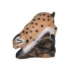Wildlife 3D Target - Bobcat On Rock -Bow Master Supplies WIL021