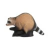 Wildlife 3D Target - Raccoon -Bow Master Supplies WIL028