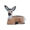 Wildlife 3D Target - Roe Deer Bedded -Bow Master Supplies WIL037