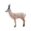 Wildlife 3D Target - Roe Deer Alerted -Bow Master Supplies WIL051