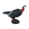 Wildlife 3D Target - Turkey Alerted -Bow Master Supplies WIL052