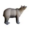 SRT 3D Target - Bear -Bow Master Supplies bear 3