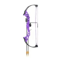 Bear Brave 3 Compound Bow -Bow Master Supplies bear brave purple 1