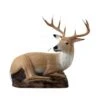 Bearpaw Franzbogen 3D Target - Stag - Lying -Bow Master Supplies bpa337