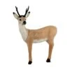 Bearpaw Franzbogen 3D Target - Standing Roe Buck 1 Bearpaw Franzbogen 3D Target - Standing Roe Buck -Bow Master Supplies bpa350