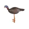 Elong Backyard 3D Target - Large Male Turkey -Bow Master Supplies maleturkeyackyard1 1