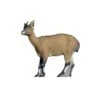 SRT 3D Target - Rocky Mountain Sheep Female -Bow Master Supplies rocky mountain sheep female 1